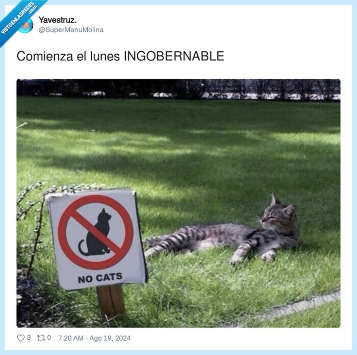 ingobernable,comienza,lunes,gato