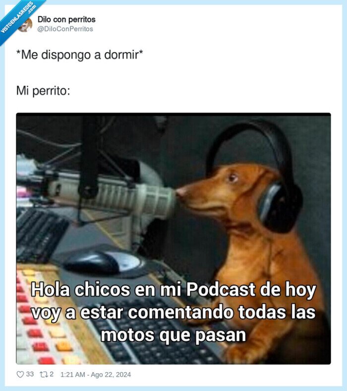 dormir,perro,ladrar,comentar,motos