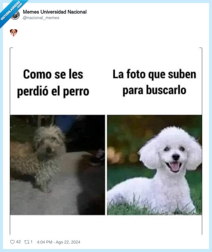 1629841 - Así no lo vais a encontrar, por @nacional_memes