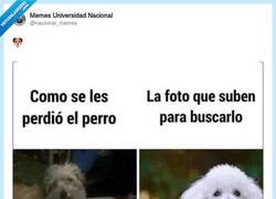 Enlace a Así no lo vais a encontrar, por @nacional_memes