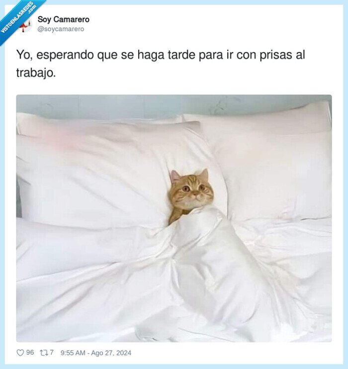 esperando,trabajo,prisas,tarde,cama