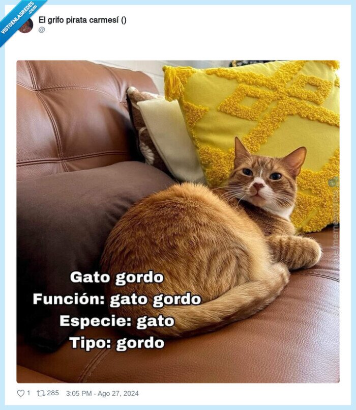 1632122 - Resumen, un gato gordo solo sirve para ser un gato gordo, por @ErigolDelViento