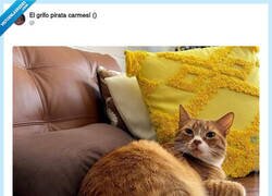 Enlace a Resumen, un gato gordo solo sirve para ser un gato gordo, por @ErigolDelViento