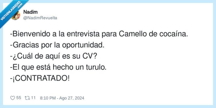 oportunidad,bienvenido,entrevista,contratado,coca,camello