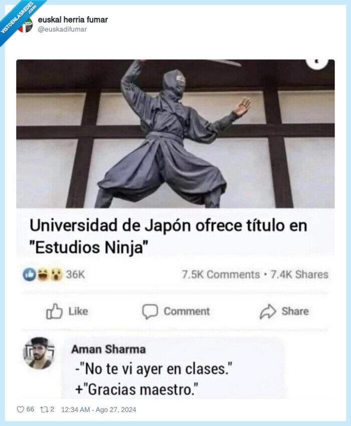 universidad,japon,ninjas,maestro