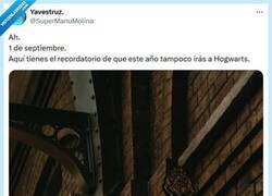 Enlace a Acéptalo ya por @supermanumolina