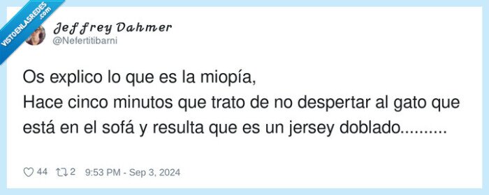 despertar,miopía,minutos,gato,ropa