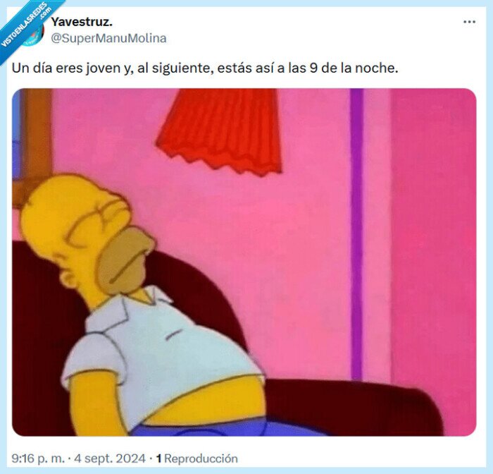 joven,noche,los simpson