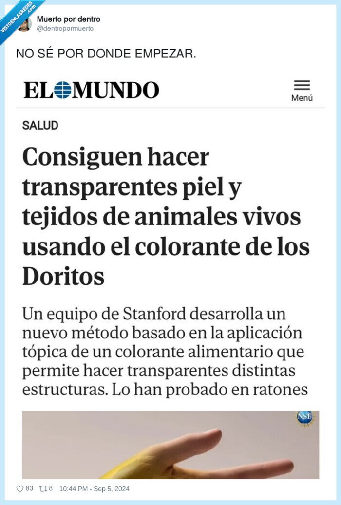 transparente,color,doritos,tejidos de animales