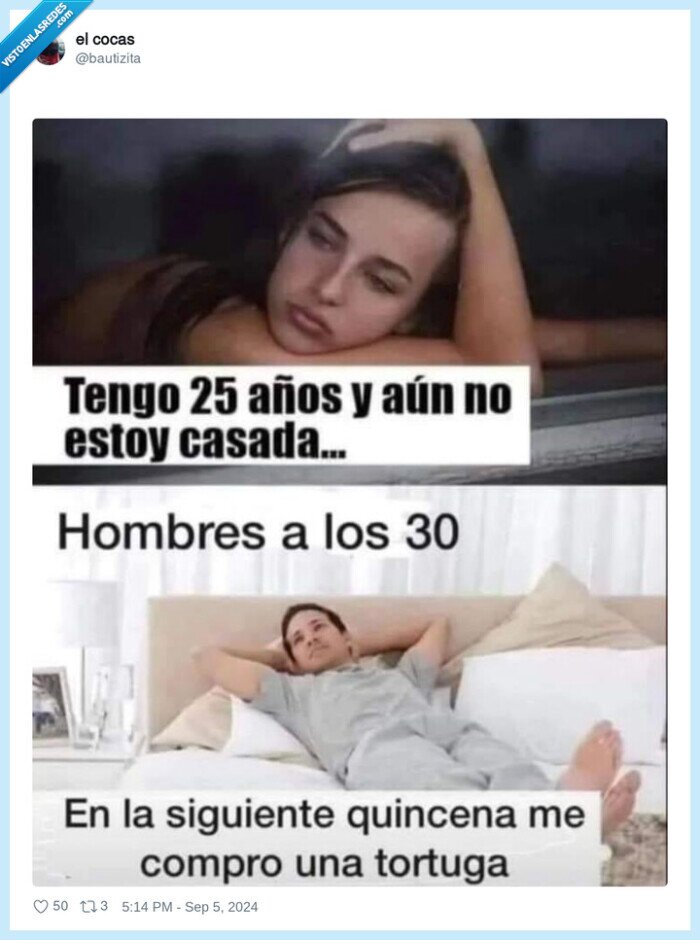 tortuga,chicos,chicas,casada,aspiraciones