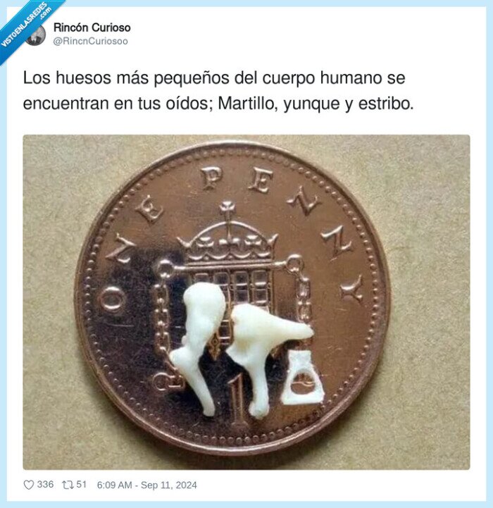 1637978 - Parecen piezas de un Kinder Sorpresa, por @RincnCuriosoo