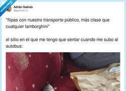 Enlace a Qué clase de cerdos usan el transporte público, por @galiindo13