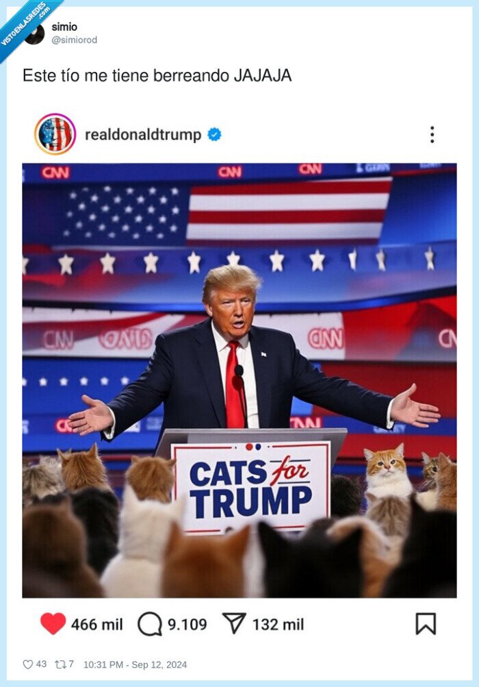 gatos,trump,campaña