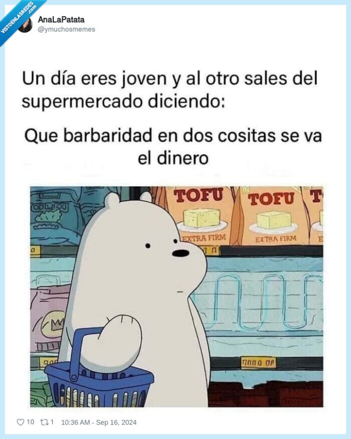 dinero,caro,supermercado,adulto