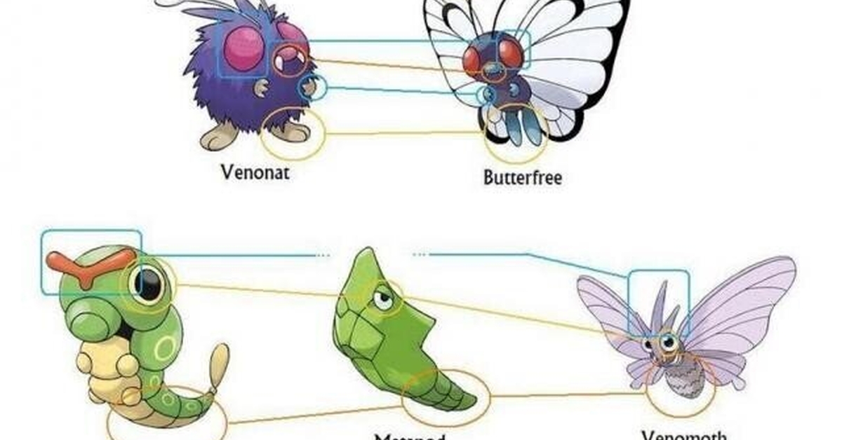 ¿Cambiaron la línea evolutiva de estos Pokémon?