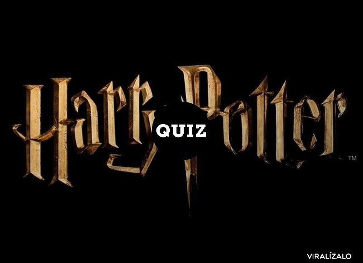 ENCUESTA: ¿Qué preferirías en la saga Harry Potter?