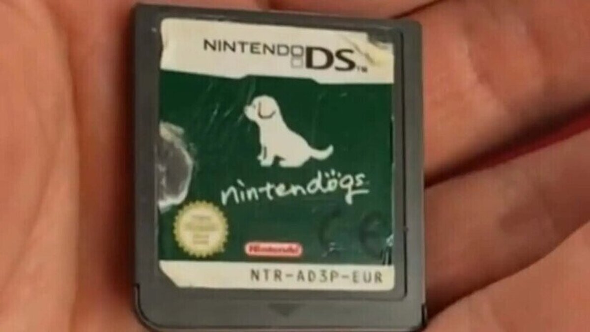 Un héroe está cuidado los cachorros de un cartucho perdido de Nintendogs