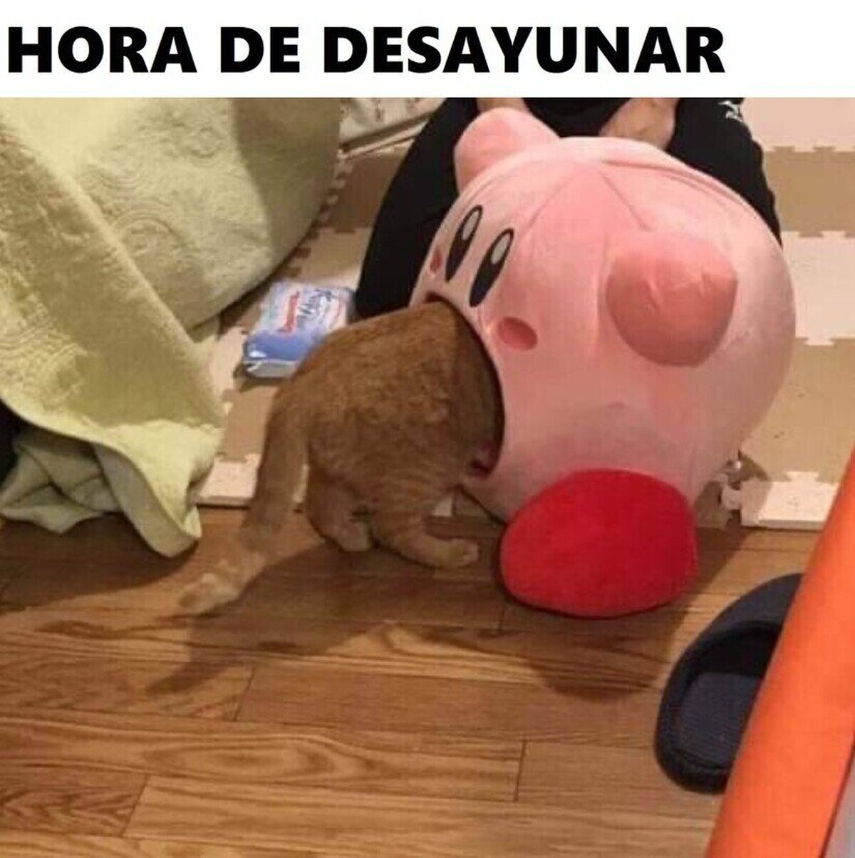 Alf está orgulloso de Kirby