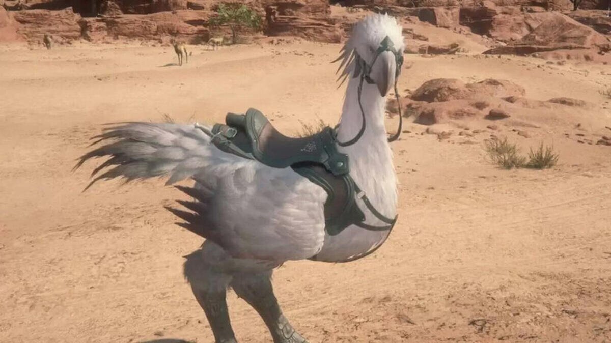 Te contamos por qué a los chocobos de Final Fantasy 16 se conocen como 'caballos' en la versión japonesa