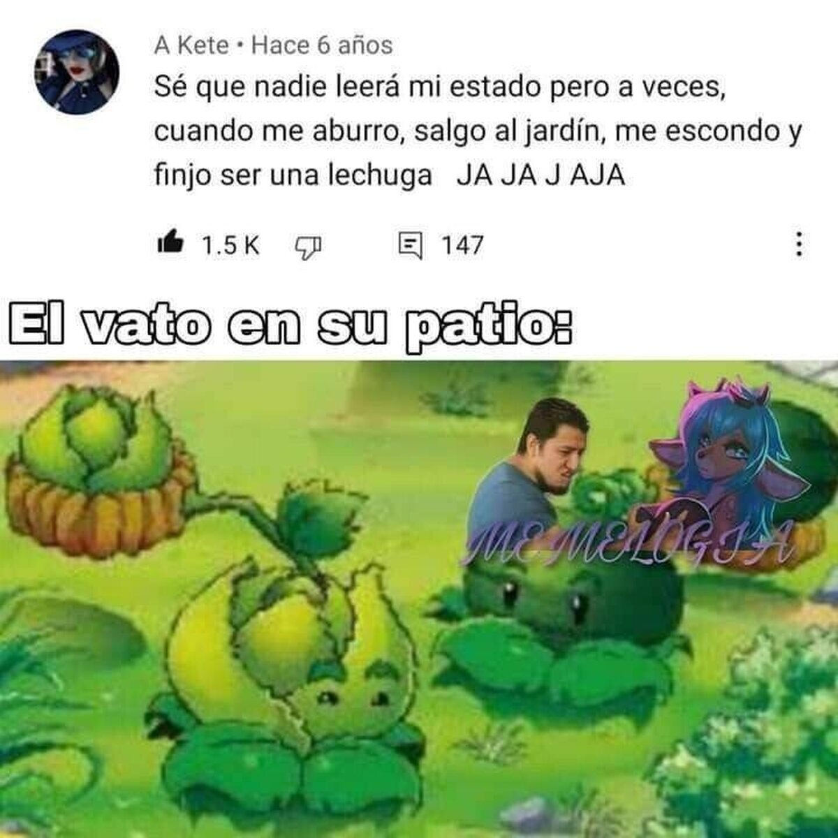La lechuga entre las lechugas 