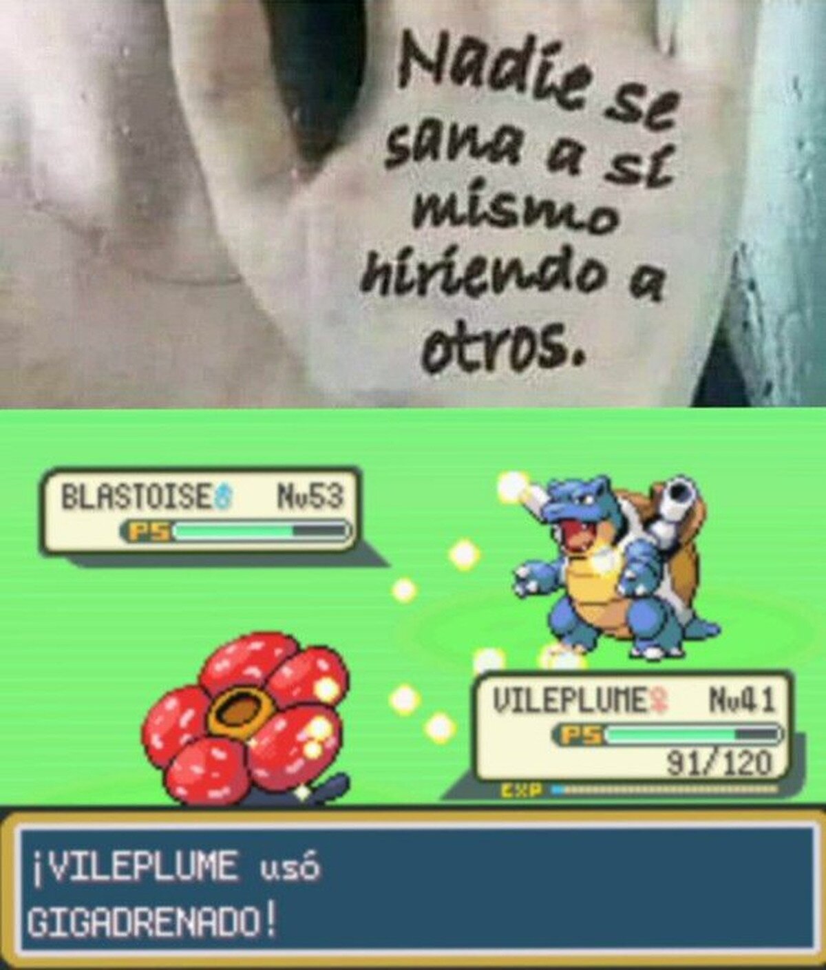 Ánimo a Blastoise