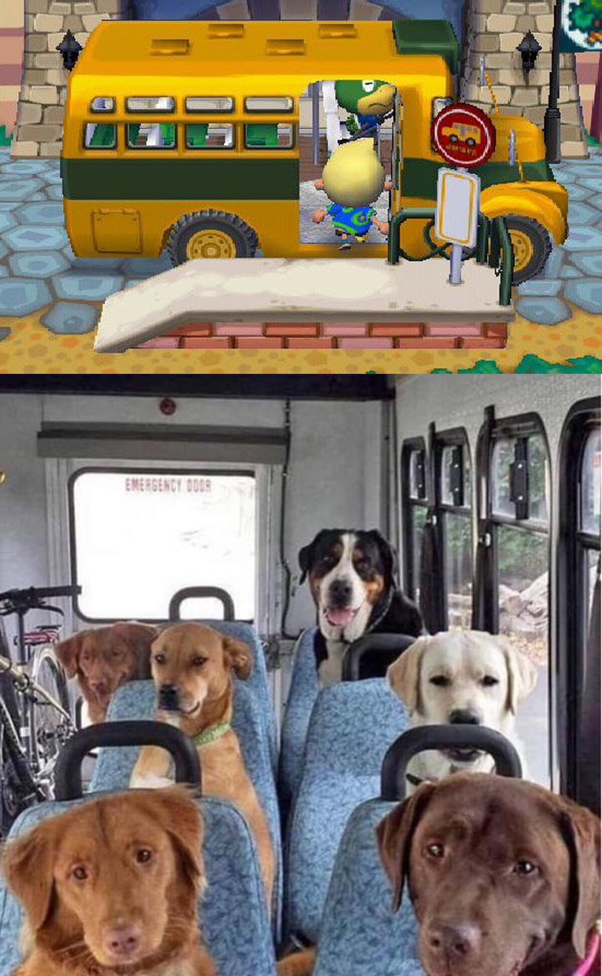 Así es como se ve el autobús del animal crossing por dentro