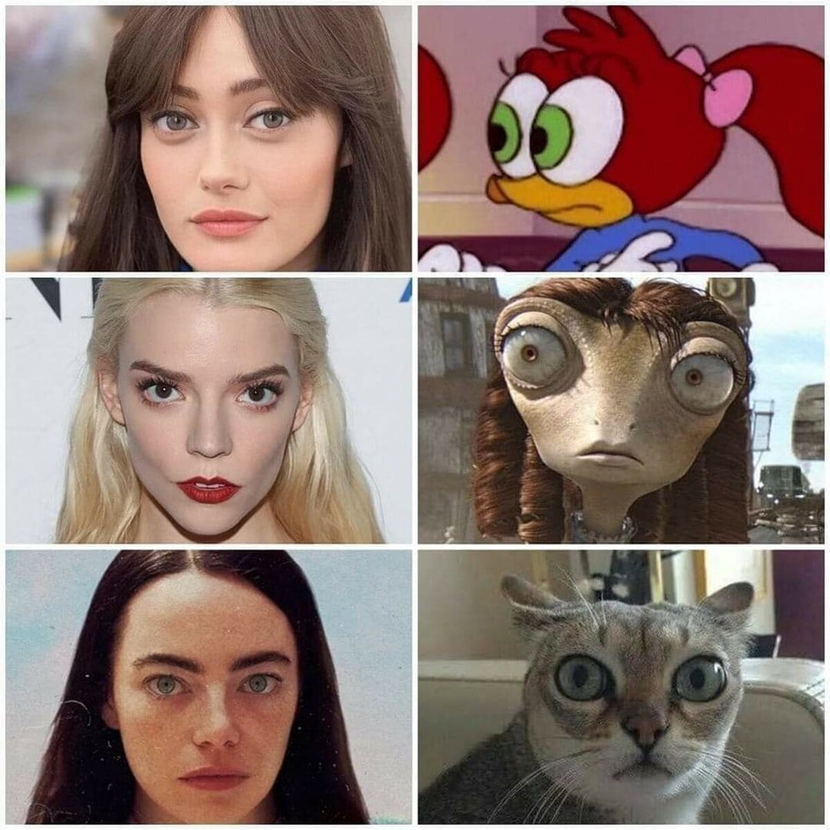 Parecidos razonables