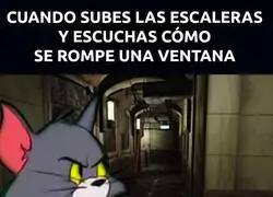 ¿Qué fue eso?