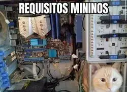 Ya tengo el gato. Solo me falta la fuente