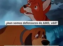 Los dias de AMD