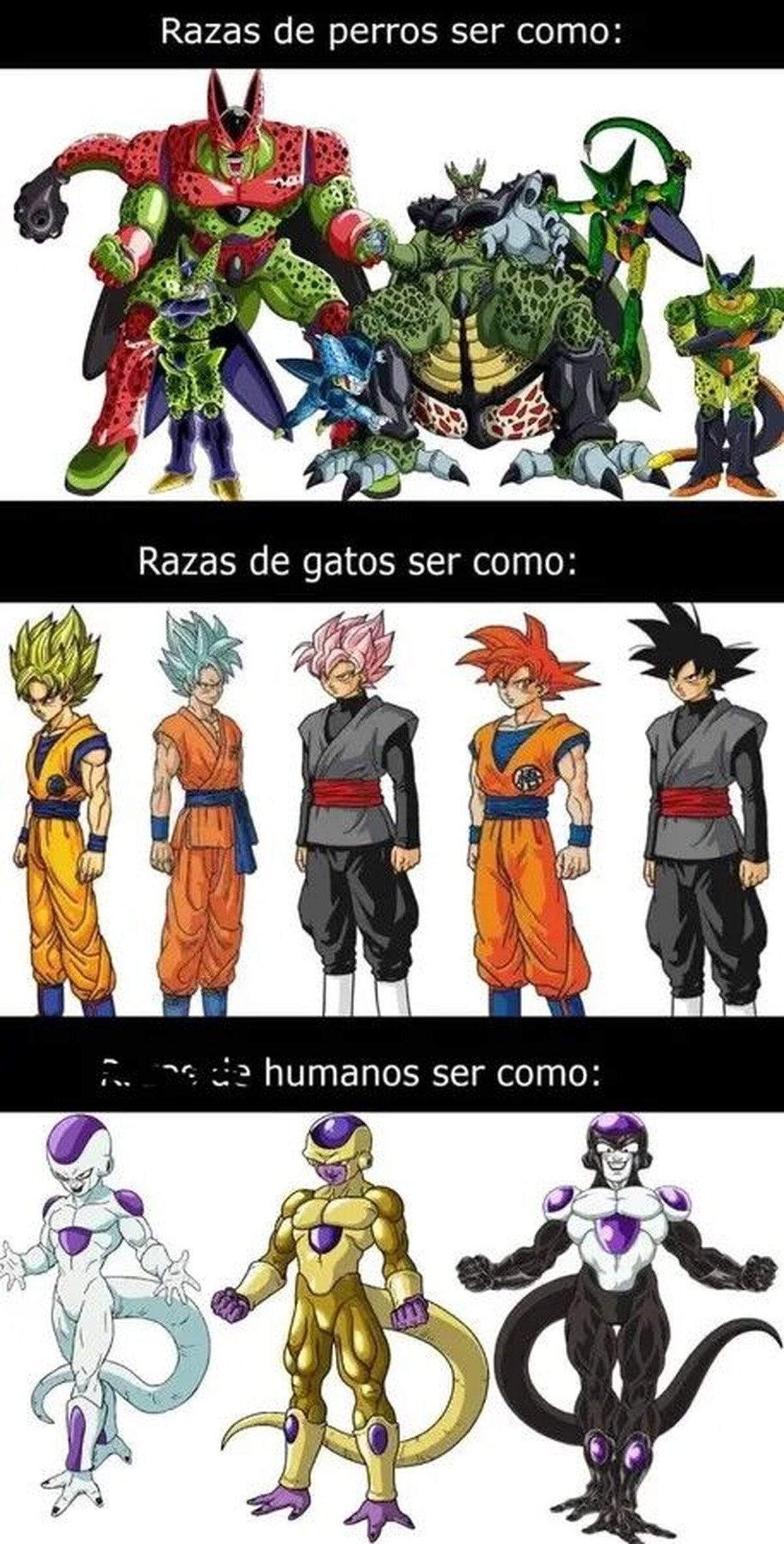 Las razas explicadas con Dragon Ball