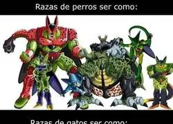 Las razas explicadas con Dragon Ball