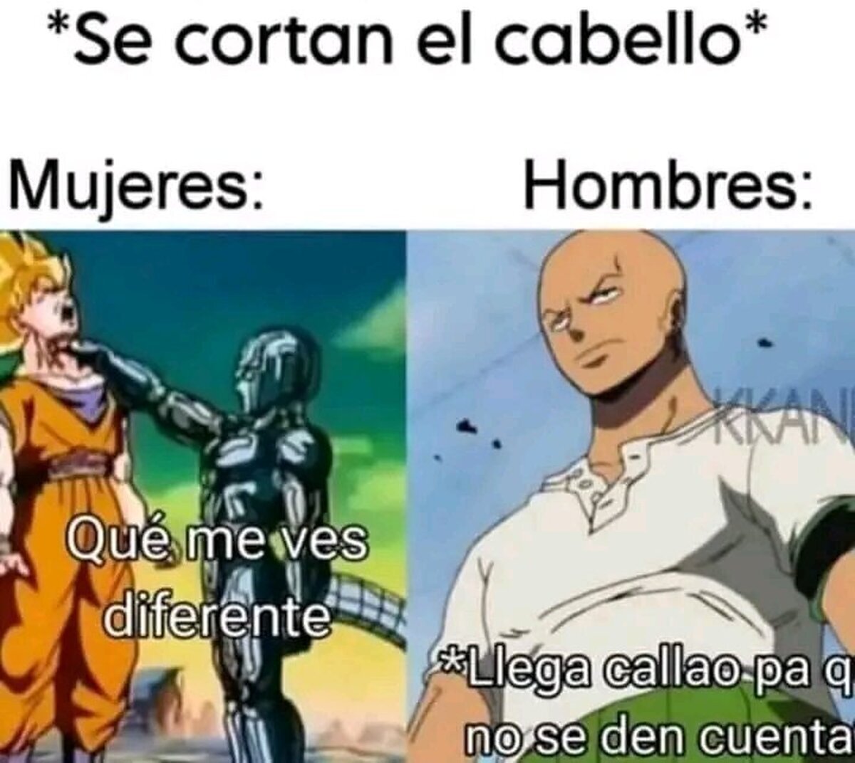 Como no se van a dar cuenta...