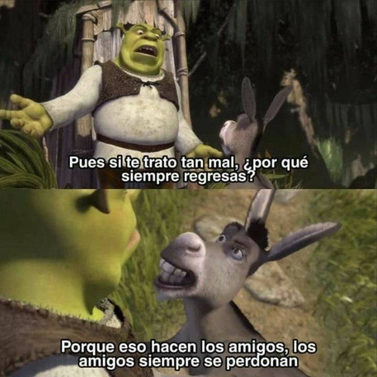 Un buen amigo