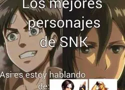 El verdadero SNK