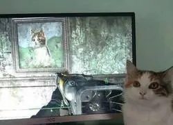 Mi michi apareció en Fallout