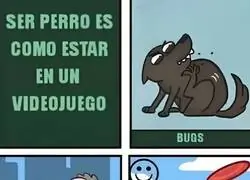 La vida de un perro y un juego