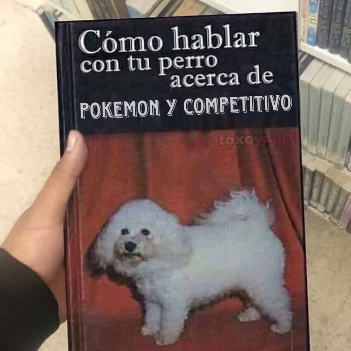 Joya imprescindible para tu mascota