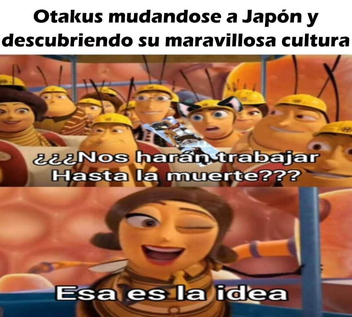 A ver si así te gusta