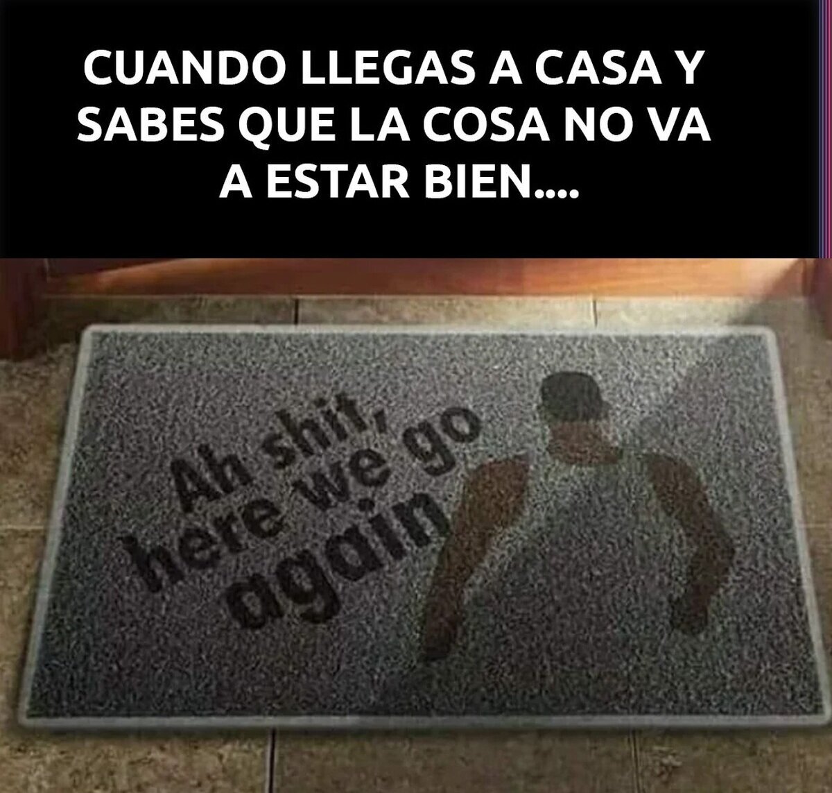 El mejor tapete de la historia