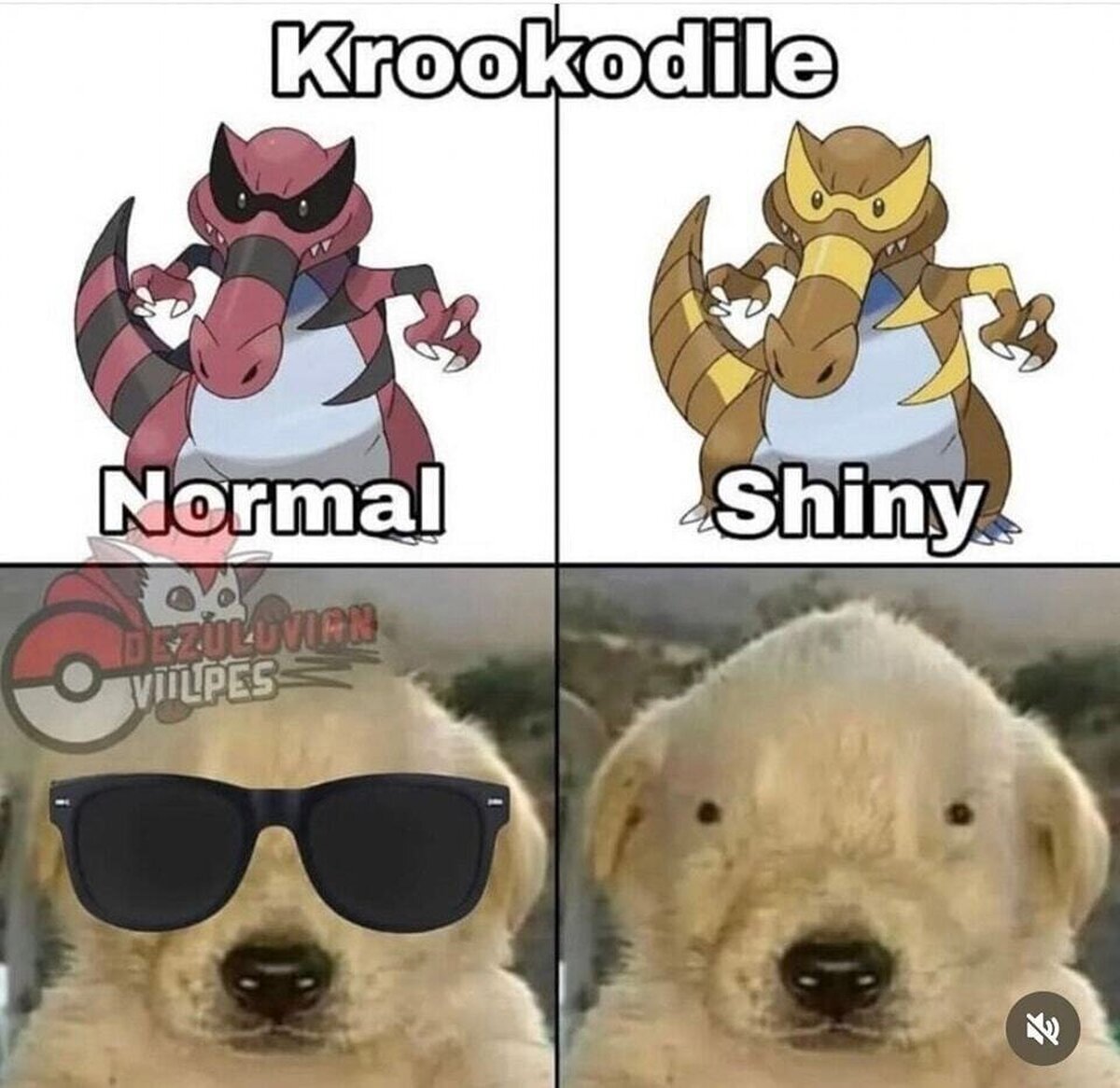 Ahuevo Mija Meme Pokemon Top 7920 memes de Pokemon Salvaje