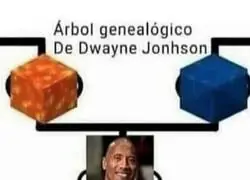 El arbol geneal&oacute;gico de la Roca