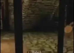 Quiero la confidencia de este guardia del Skyrim