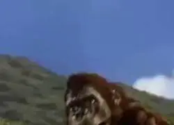 As&iacute; es como recuerdo Donkey Kong Country