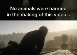 Ah&iacute; va Jos&eacute;...