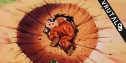 La derrota de Yamcha siendo multiplemente referenciada