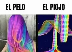 La mejor pista para un piojo