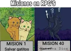 La importancia de salvar esos gatitos