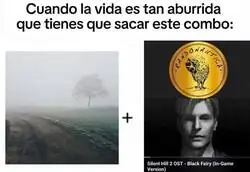 El combo melanc&oacute;lico
