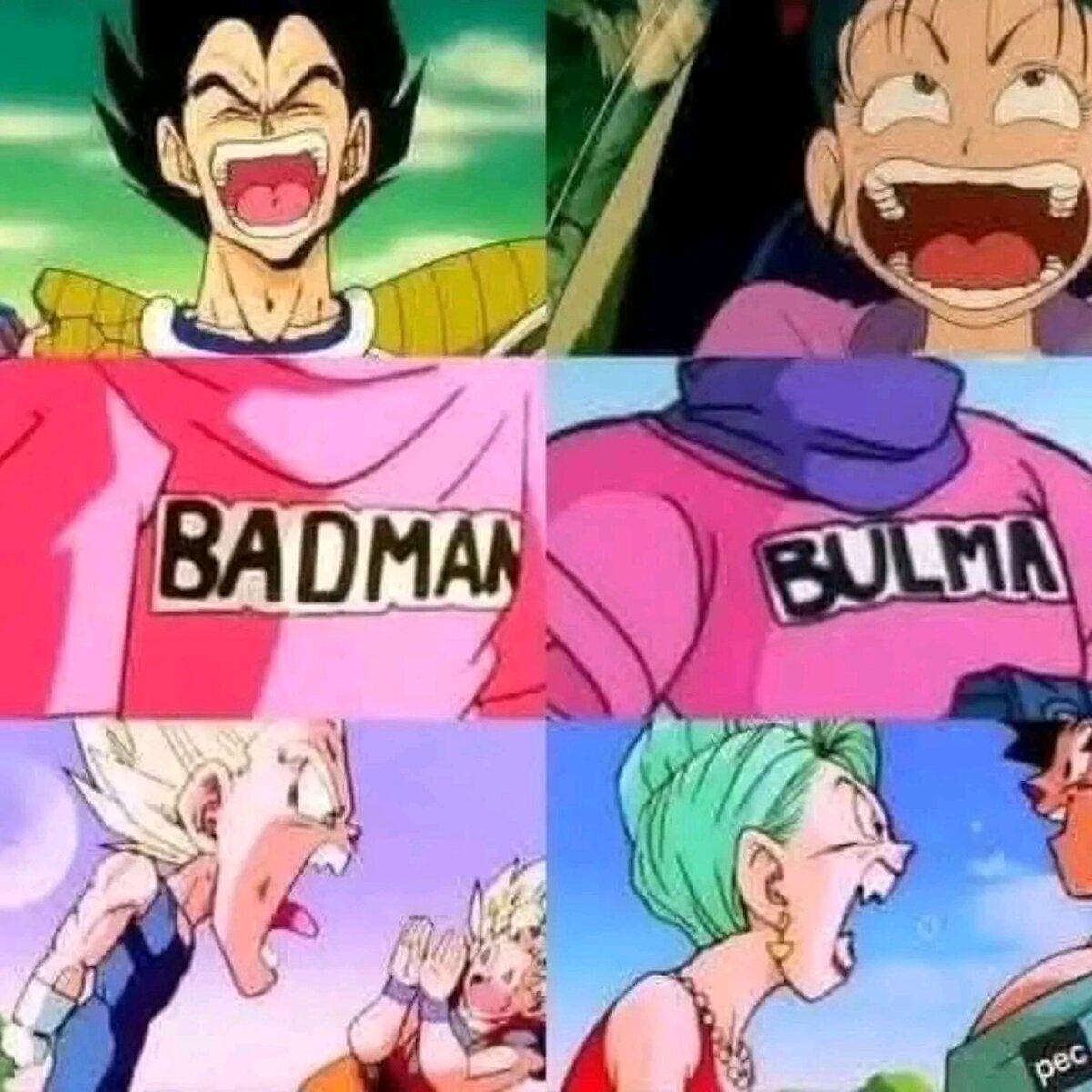 Vegeta y Bulma están hechos uno para el otro.